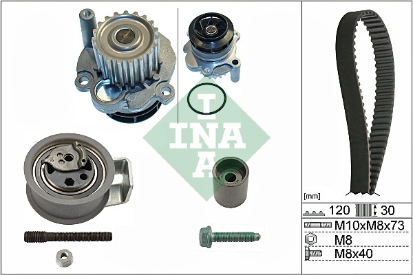 Set pompa apa + curea dintata INA 530 0091 31