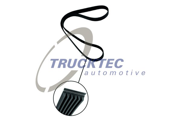 Curea transmisie cu caneluri TRUCKTEC AUTOMOTIVE 08.19.246