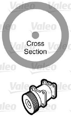 Garnitura conducta lichid de racire VALEO 509173