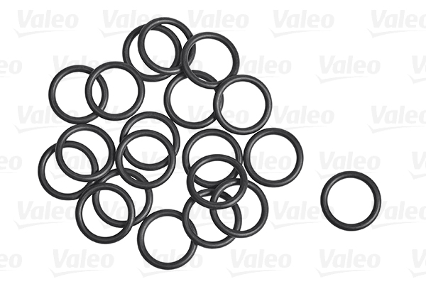 Garnitura conducta lichid de racire VALEO 509305
