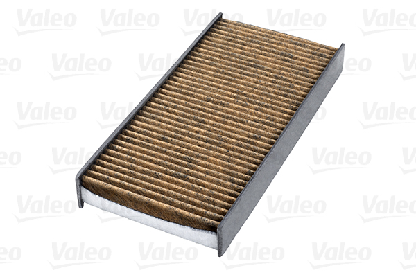 Filtru polen VALEO 701002
