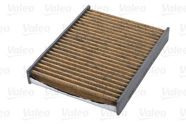 Filtru polen VALEO 701004