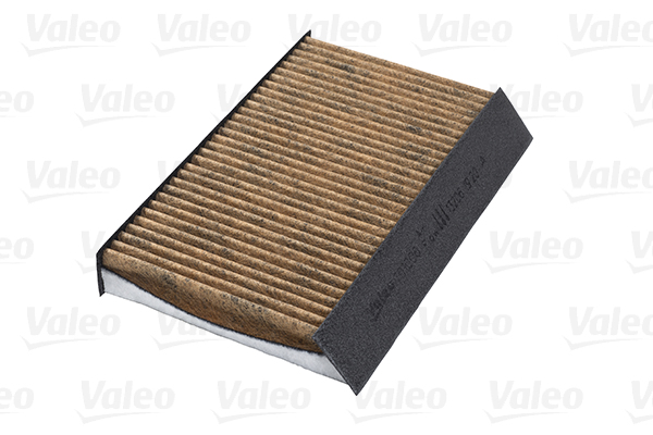 Filtru polen VALEO 701006