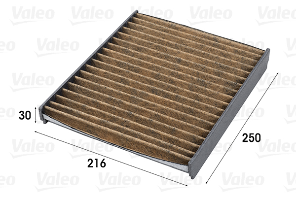 Filtru polen VALEO 701009