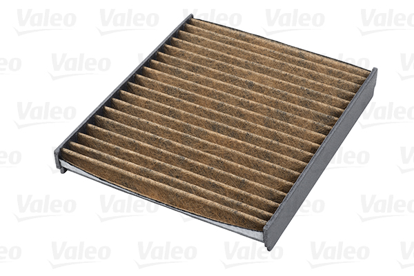 Filtru polen VALEO 701009
