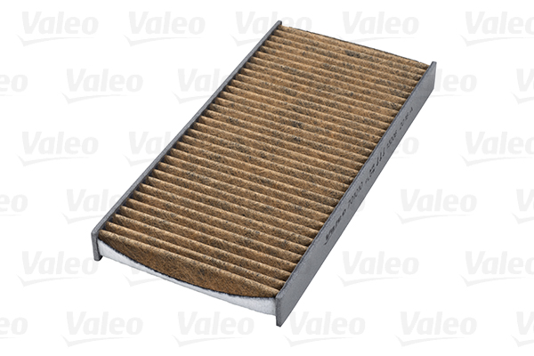 Filtru polen VALEO 701010