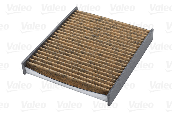 Filtru polen VALEO 701011