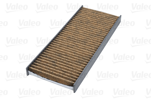 Filtru polen VALEO 701013