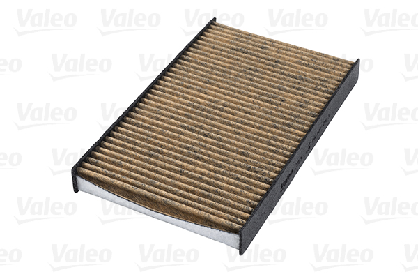 Filtru polen VALEO 701014
