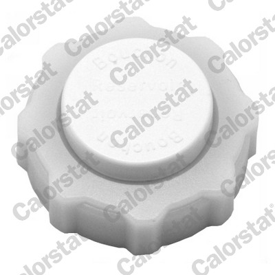 Buson vas expansiune CALORSTAT BY VERNET RC0013