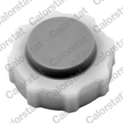 Buson vas expansiune CALORSTAT BY VERNET RC0018
