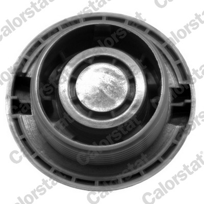 Buson vas expansiune CALORSTAT BY VERNET RC0034