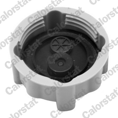 Buson vas expansiune CALORSTAT BY VERNET RC0038
