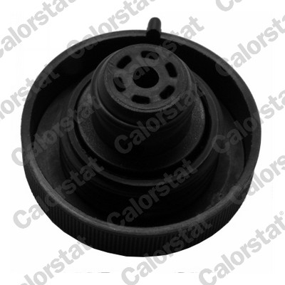 Buson vas expansiune CALORSTAT BY VERNET RC0145