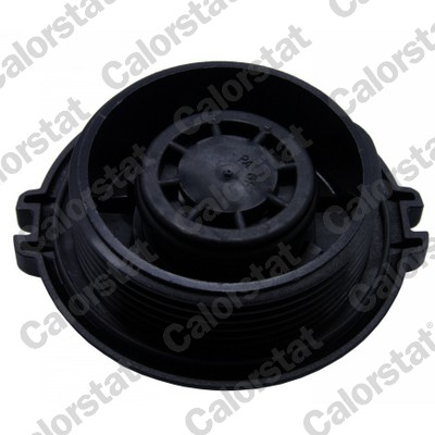 Buson vas expansiune CALORSTAT BY VERNET RC0162