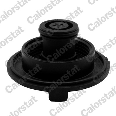 Buson vas expansiune CALORSTAT BY VERNET RC0167