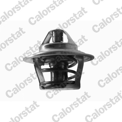 Termostat lichid racire CALORSTAT BY VERNET TH1410.87J