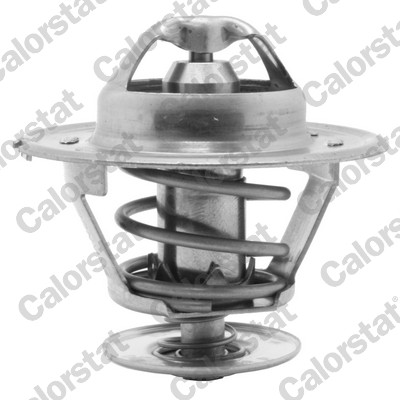 Termostat lichid racire CALORSTAT BY VERNET TH1418.83J