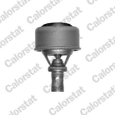 Termostat lichid racire CALORSTAT BY VERNET TH4495.89