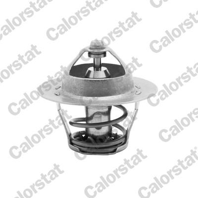 Termostat lichid racire CALORSTAT BY VERNET TH5075.82J
