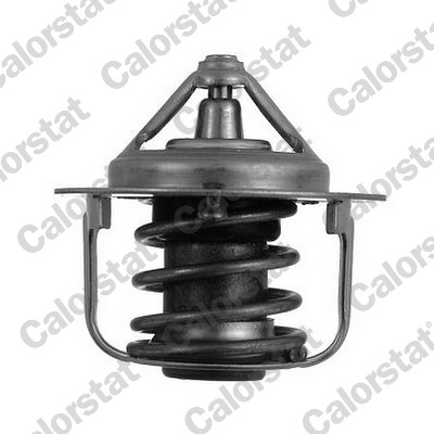 Termostat lichid racire CALORSTAT BY VERNET TH5076.82J