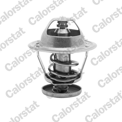 Termostat lichid racire CALORSTAT BY VERNET TH5079.82J