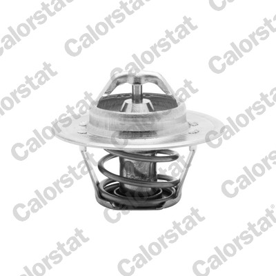 Termostat lichid racire CALORSTAT BY VERNET TH5504.88J