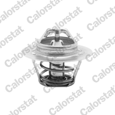 Termostat lichid racire CALORSTAT BY VERNET TH5955.88J
