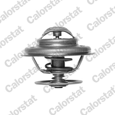 Termostat lichid racire CALORSTAT BY VERNET TH5963.80J