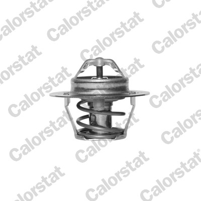 Termostat lichid racire CALORSTAT BY VERNET TH5977.88J