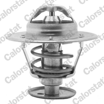 Termostat lichid racire CALORSTAT BY VERNET TH5981.89J