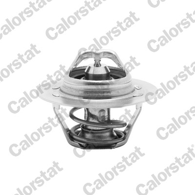 Termostat lichid racire CALORSTAT BY VERNET TH6045.89J