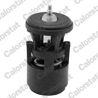 Termostat lichid racire CALORSTAT BY VERNET TH6274.87J