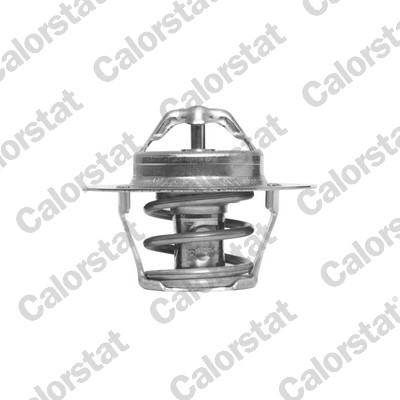 Termostat lichid racire CALORSTAT BY VERNET TH6318.89J