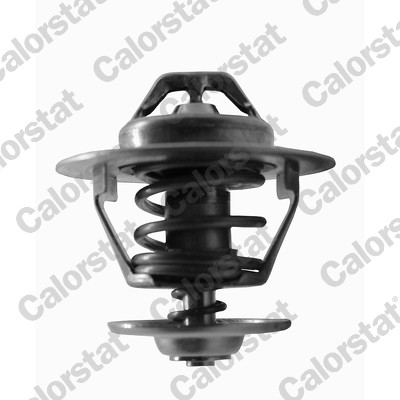 Termostat lichid racire CALORSTAT BY VERNET TH6434.82J