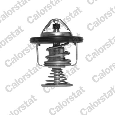 Termostat lichid racire CALORSTAT BY VERNET TH6876.80J