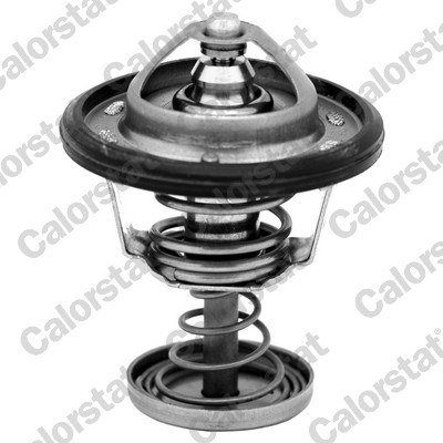 Termostat lichid racire CALORSTAT BY VERNET TH6950.82J