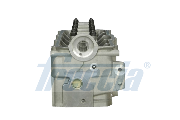 Ax cu came VW PASSAT B6 (3C2) 1.6 TDI diesel 105 cai FRECCIA CM05-2196
