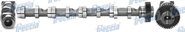 Ax cu came SKODA FABIA II (542) 1.6 TDI  diesel 75 cai FRECCIA CM05-2195