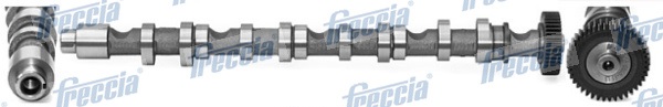 Ax cu came VW PASSAT B6 (3C2) 1.6 TDI diesel 105 cai FRECCIA CM05-2196
