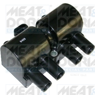Bobina de inductie MEAT DORIA 10322