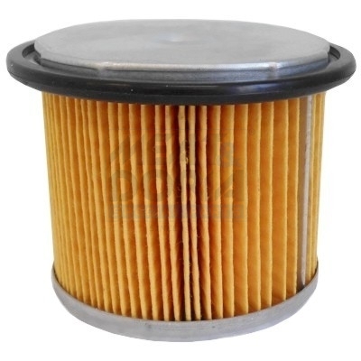 Filtru combustibil MEAT DORIA 4141