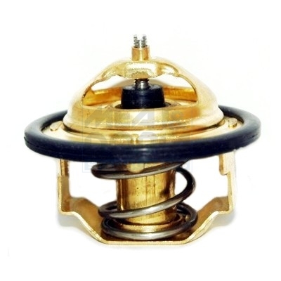 Termostat lichid racire MEAT DORIA 92182