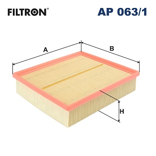 Filtru aer FILTRON AP 063/1