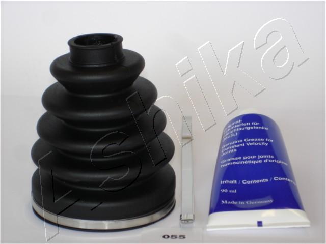 Ansamblu burduf articulatie planetara ASHIKA 63-00-055