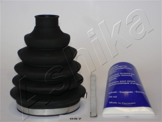 Ansamblu burduf articulatie planetara ASHIKA 63-00-057