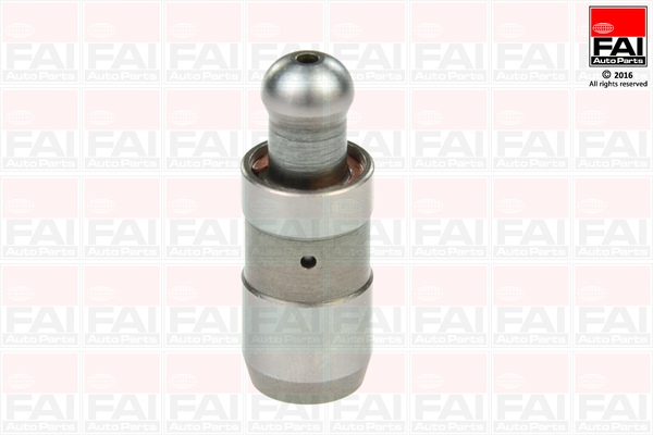 Culbutor supapa FAI AUTOPARTS BFS174S