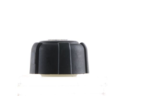 Buson vas expansiune MAHLE ORIGINAL CRB103000S