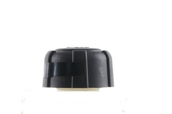 Buson vas expansiune MAHLE ORIGINAL CRB103000S