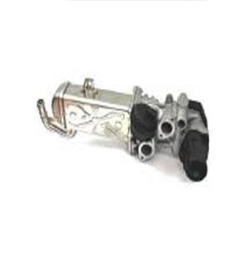 Supapa EGR ASSO 70.0001